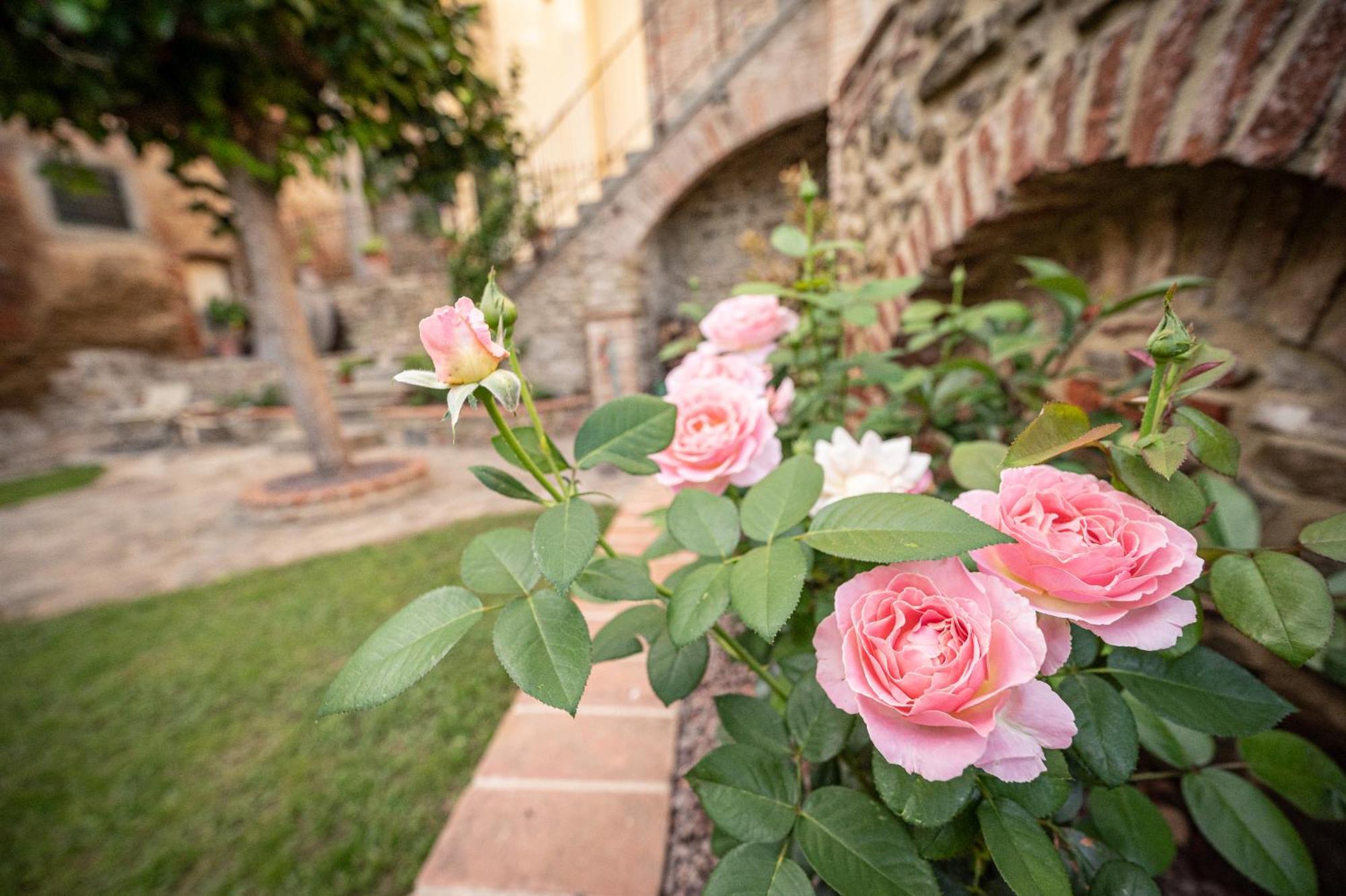 Casa La Girandola Daire Castiglion Fiorentino Dış mekan fotoğraf